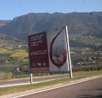 vinoculti_weinfest