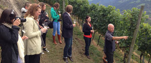 master_of_wine_in_sdtirol